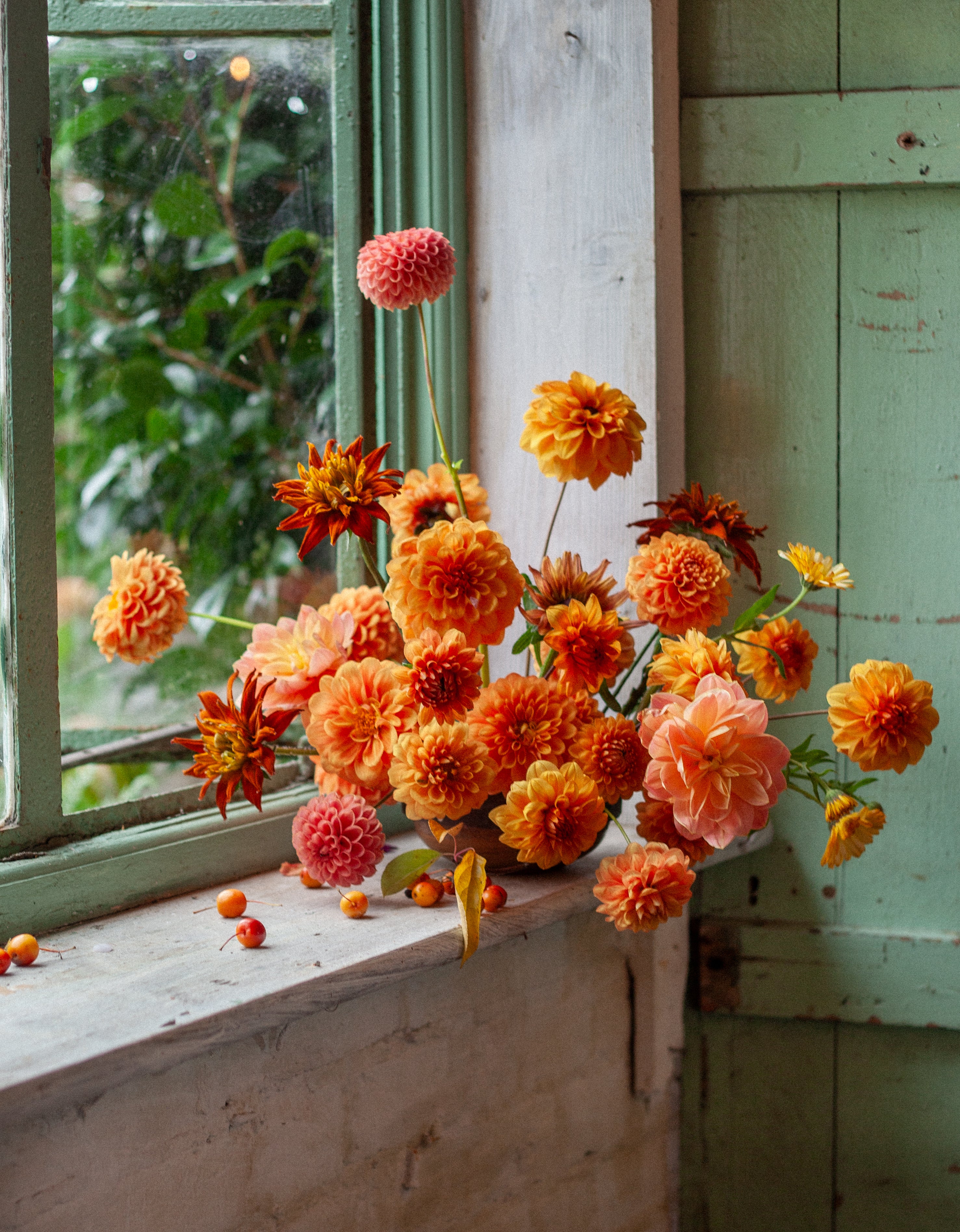 Look and Learn with Graeme Corbett from Bloom and Burn