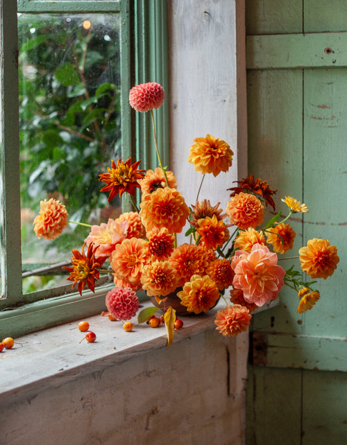 Look and Learn with Graeme Corbett from Bloom and Burn