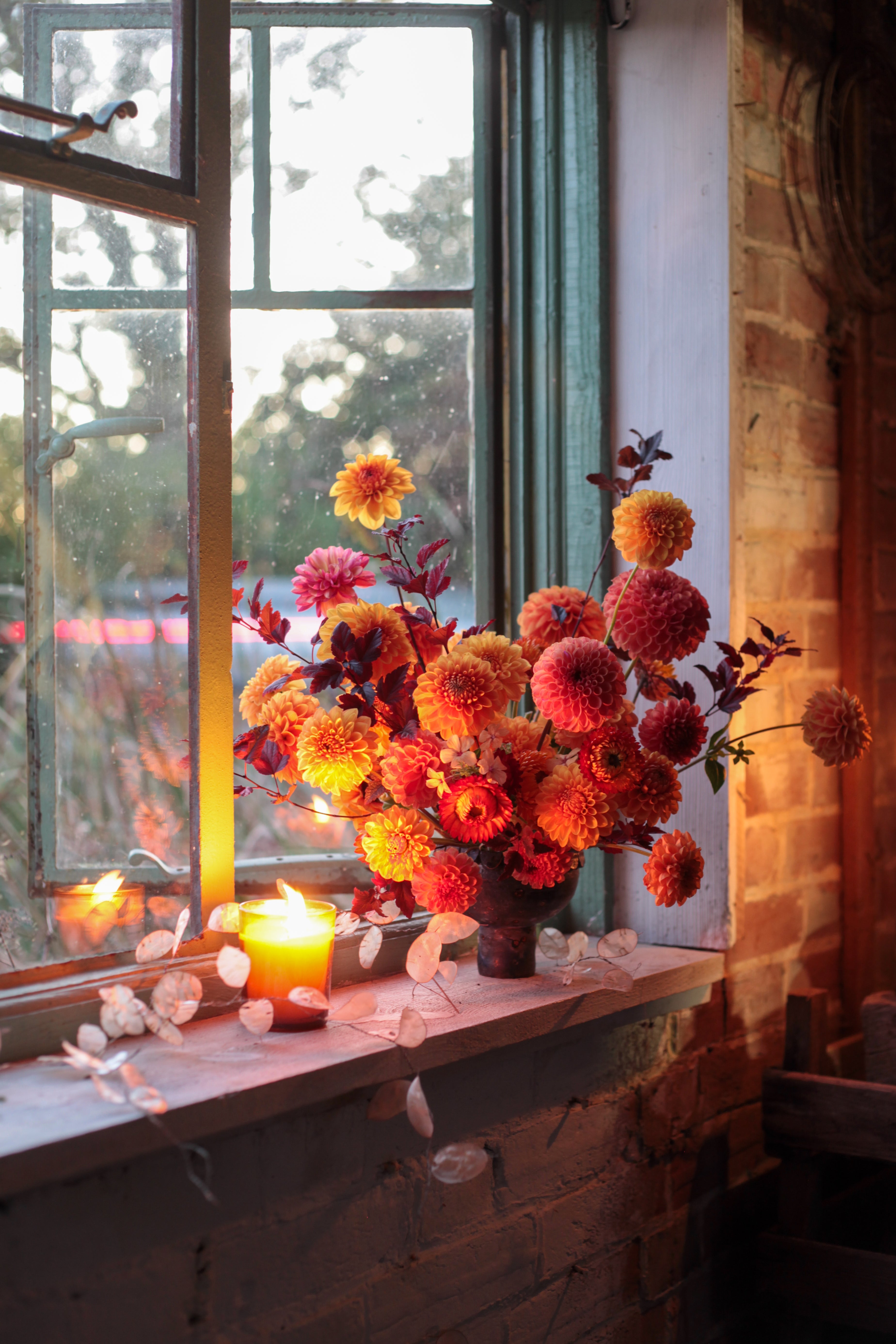 Look and Learn with Graeme Corbett from Bloom and Burn