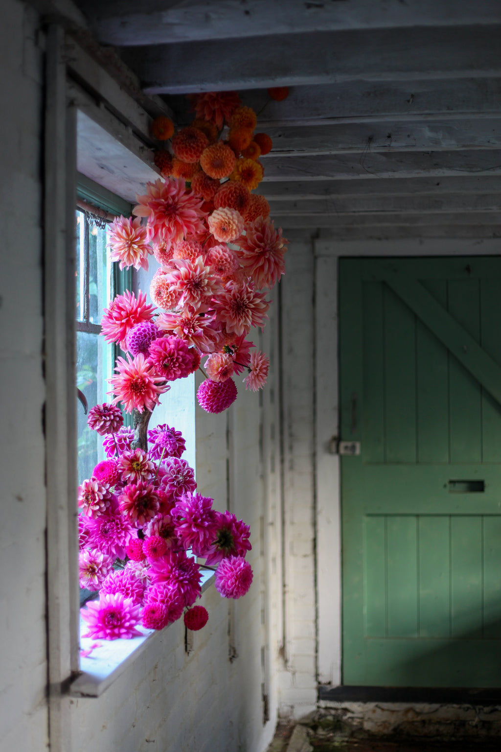 Look and Learn with Graeme Corbett from Bloom and Burn