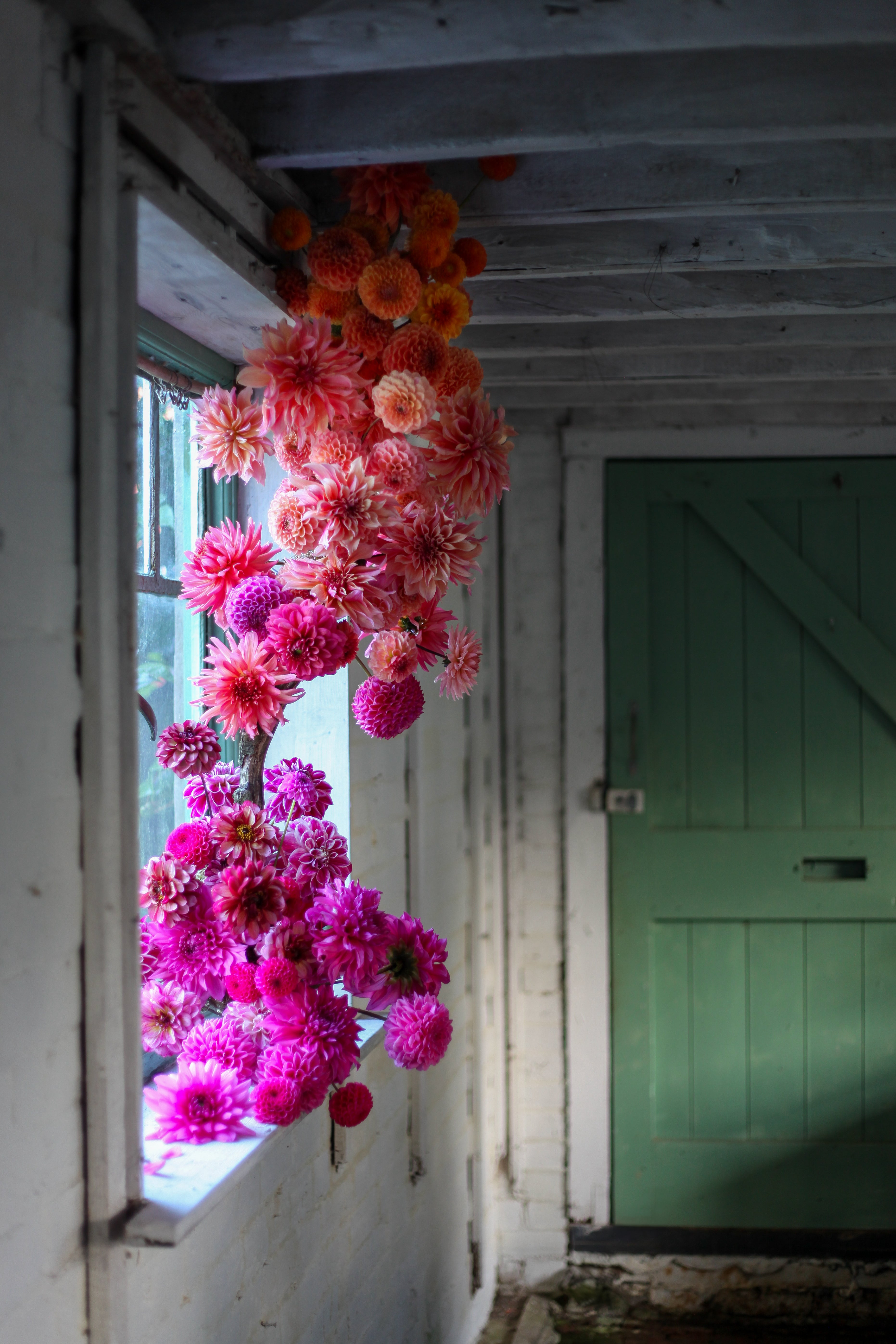 Look and Learn with Graeme Corbett from Bloom and Burn
